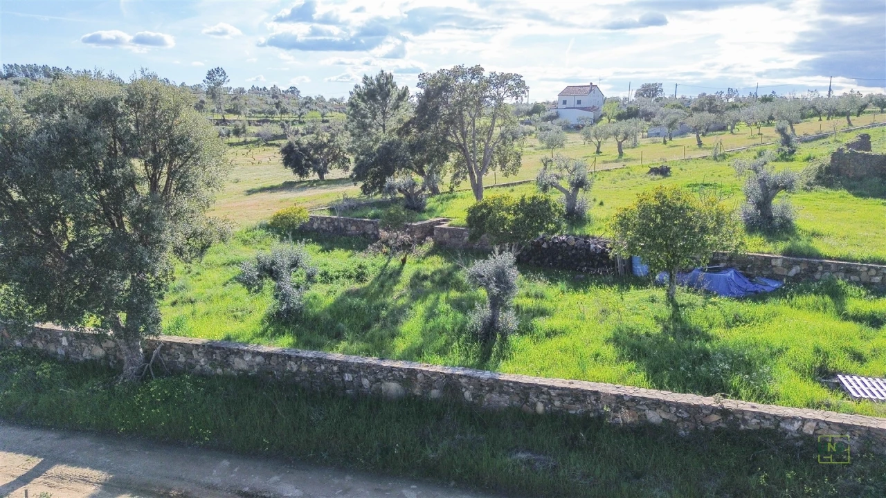 Quinta T0 para Venda em Freixial e Juncal do Campo Foto 29