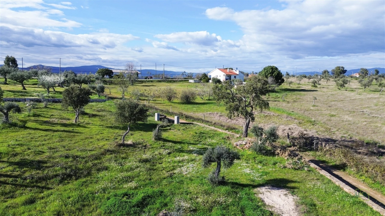 Quinta T0 para Venda em Freixial e Juncal do Campo Foto 30