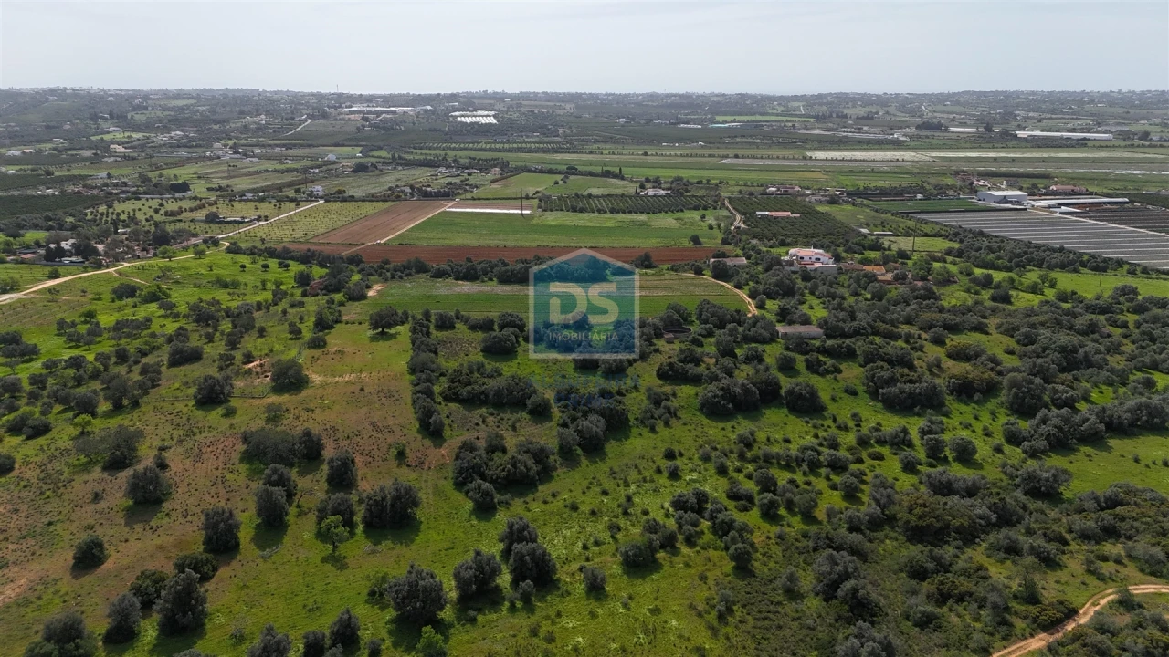 Terreno Misto para Venda em Lagoa e Carvoeiro Foto 3