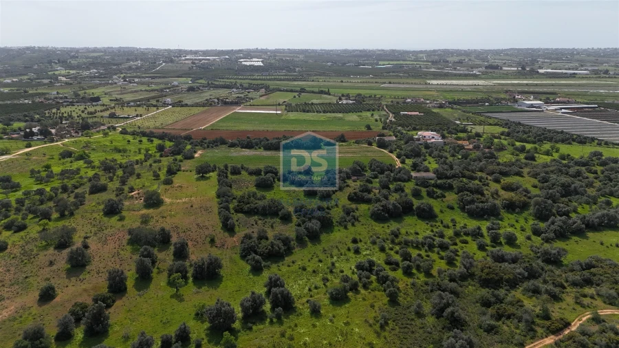 Terreno Misto para Venda em Lagoa e Carvoeiro Foto 3