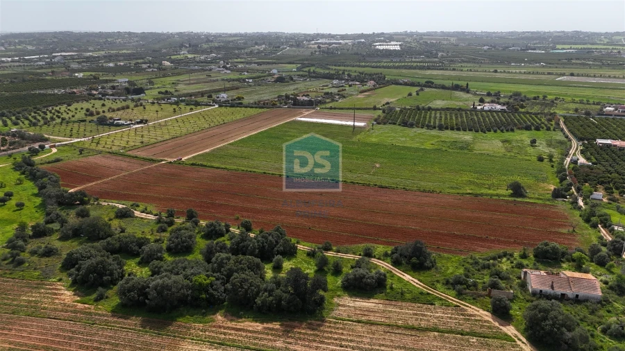 Terreno Misto para Venda em Lagoa e Carvoeiro Foto 7