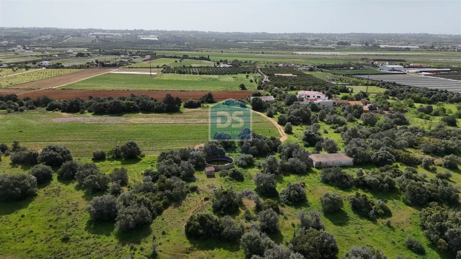 Terreno Misto para Venda em Lagoa e Carvoeiro Foto 8