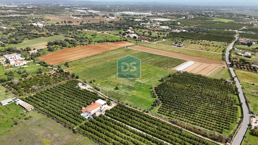 Terreno Misto para Venda em Lagoa e Carvoeiro Foto 13
