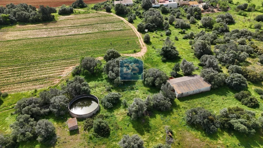 Terreno Misto para Venda em Lagoa e Carvoeiro Foto 5