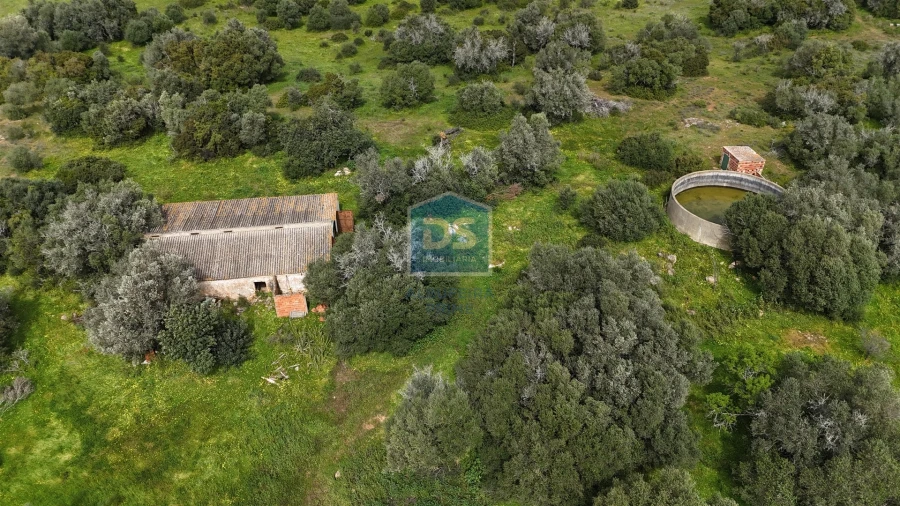 Terreno Misto para Venda em Lagoa e Carvoeiro Foto 12