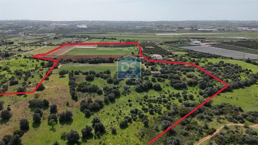 Terreno Misto para Venda em Lagoa e Carvoeiro Foto 2