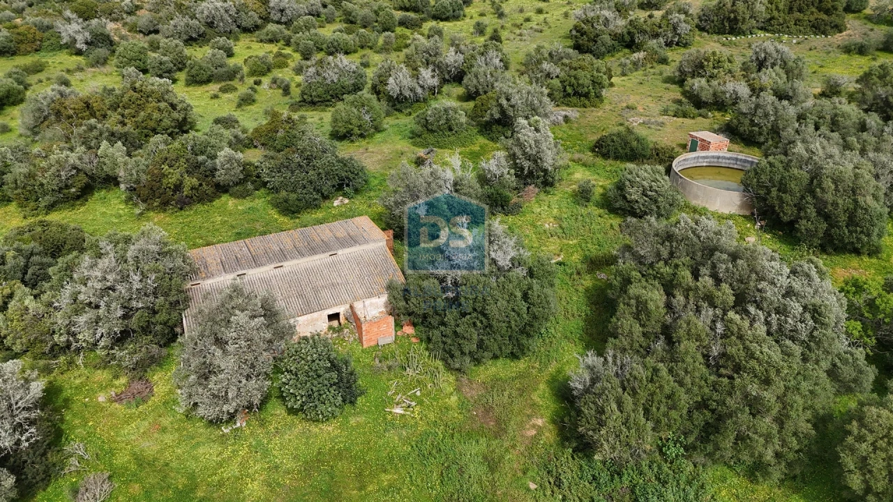 Terreno Misto para Venda em Lagoa e Carvoeiro Foto 10