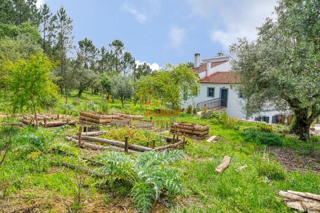 Quinta T11 para Venda em Gondemaria e Olival Foto 9