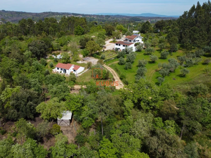 Quinta T11 para Venda em Gondemaria e Olival Foto 4