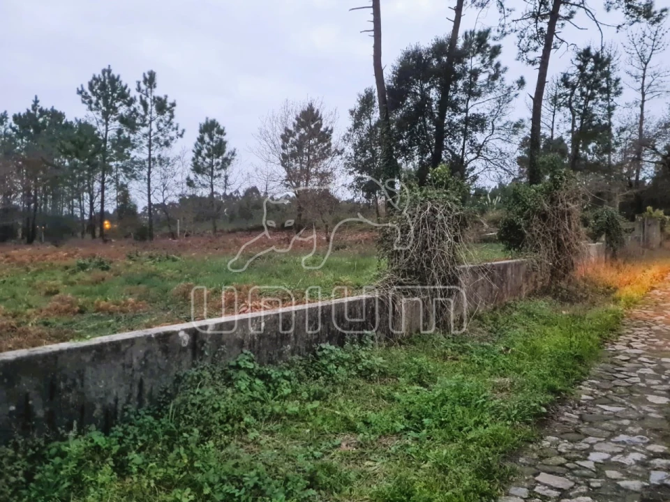 Terreno Agricola ou Rústico para Venda em Mazarefes e Vila Fria Foto 4