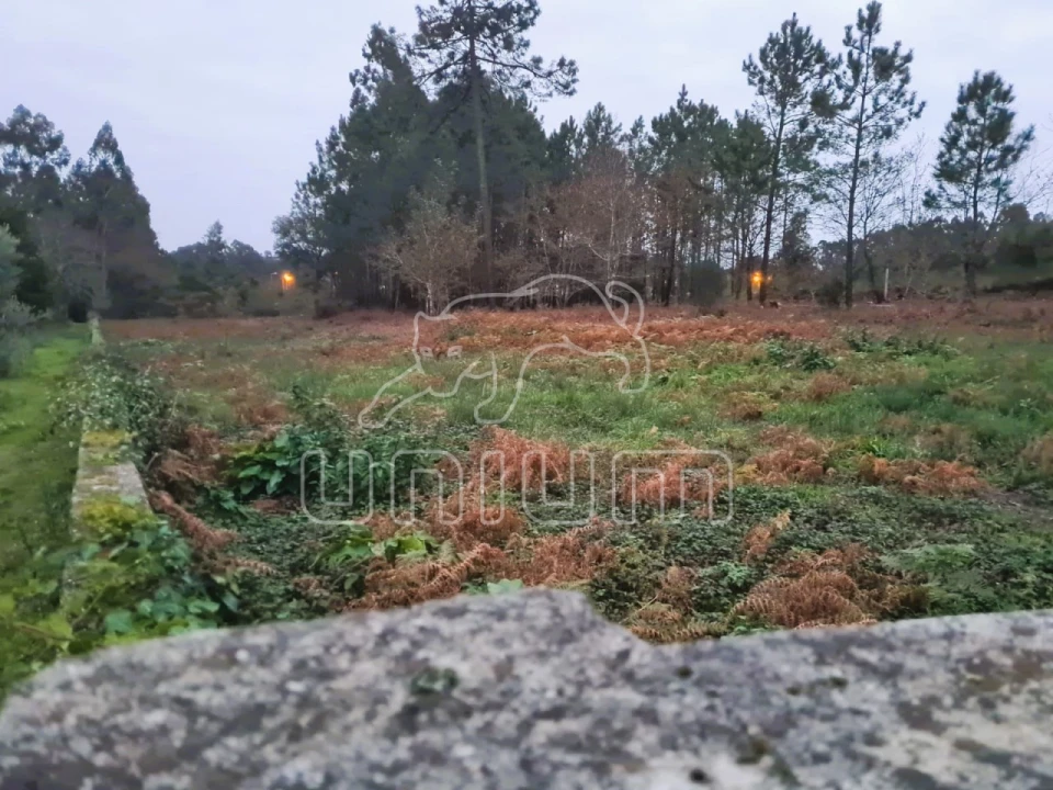 Terreno Agricola ou Rústico para Venda em Mazarefes e Vila Fria Foto 5
