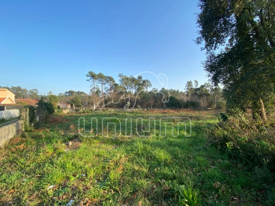 Terreno Agricola ou Rústico para Venda em Mazarefes e Vila Fria Foto 1