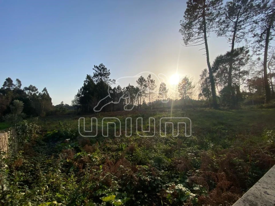 Terreno Agricola ou Rústico para Venda em Mazarefes e Vila Fria Foto 3