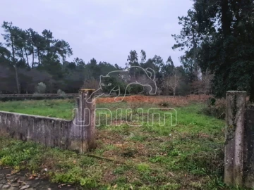 Terreno Agricola ou Rústico para Venda em Mazarefes e Vila Fria