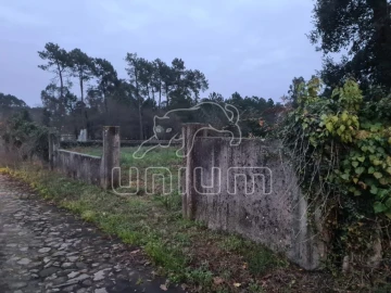Terreno Agricola ou Rústico para Venda em Mazarefes e Vila Fria