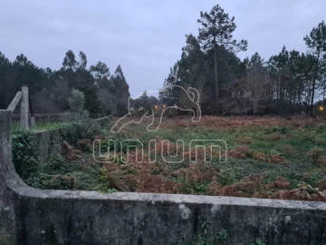 Terreno Agricola ou Rústico para Venda em Mazarefes e Vila Fria