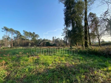 Terreno Agricola ou Rústico para Venda em Mazarefes e Vila Fria