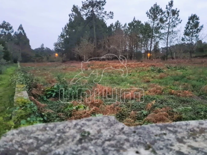 Terreno Agricola ou Rústico para Venda em Mazarefes e Vila Fria Foto 5