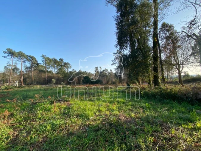 Terreno Agricola ou Rústico para Venda em Mazarefes e Vila Fria Foto 2