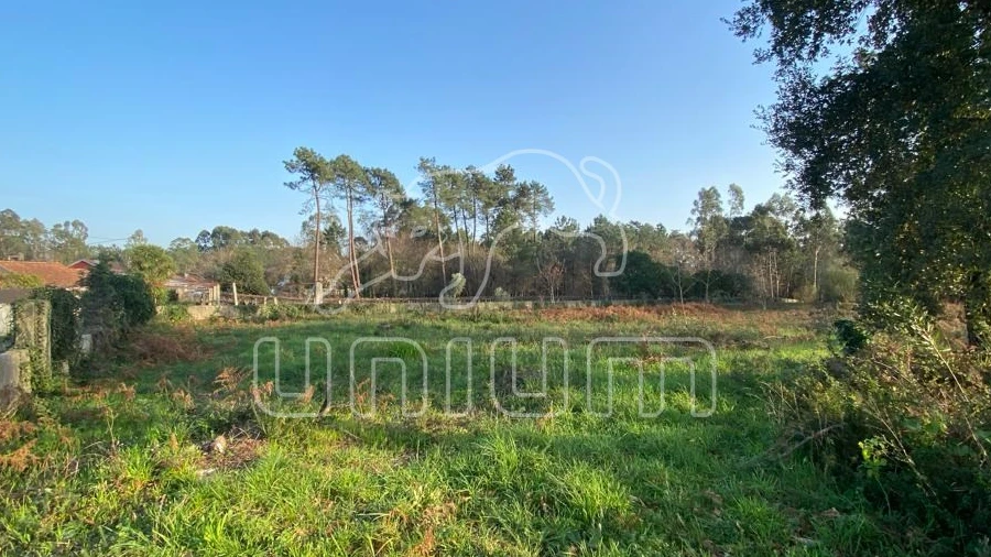 Terreno Agricola ou Rústico para Venda em Mazarefes e Vila Fria