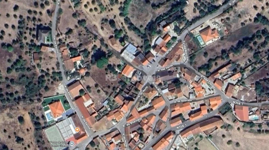 Terreno Agricola ou Rústico para Venda em Assentiz Foto 2