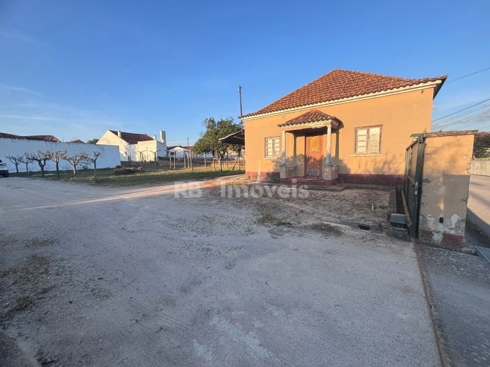 Quinta T3 para Venda em Riachos Foto 5