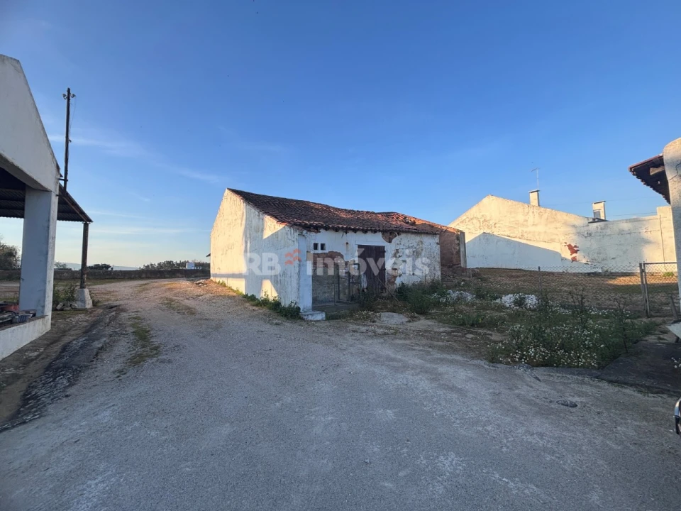 Quinta T3 para Venda em Riachos Foto 4