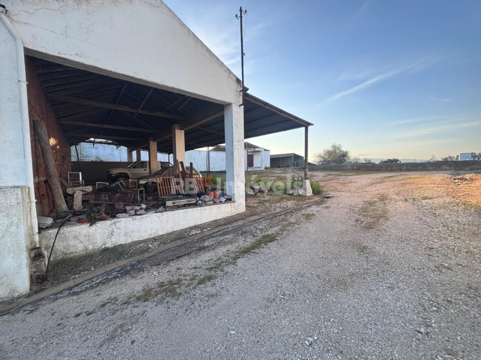 Quinta T3 para Venda em Riachos Foto 9