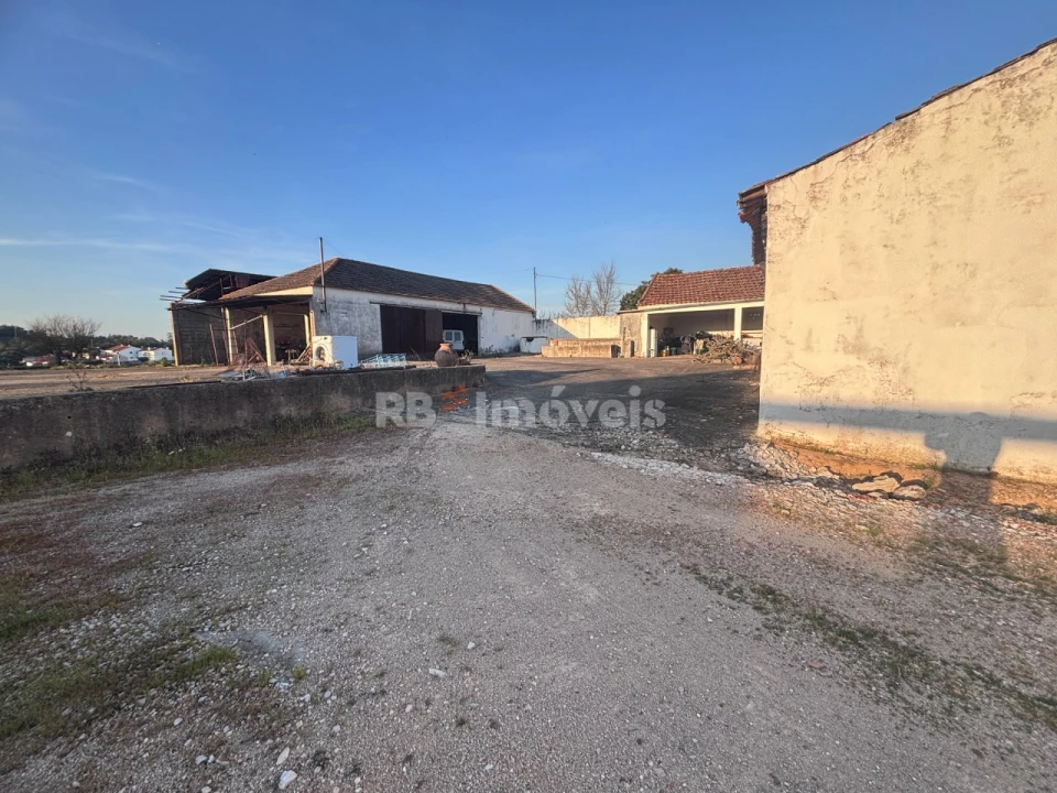 Quinta T3 para Venda em Riachos Foto 10