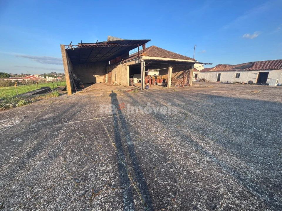 Quinta T3 para Venda em Riachos Foto 2