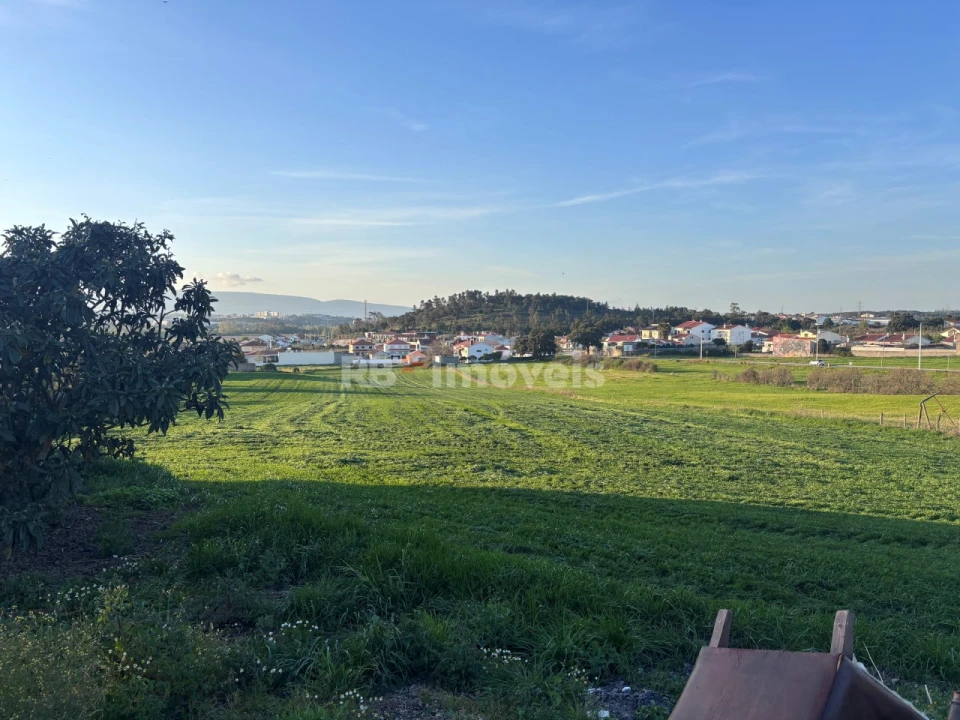 Quinta T3 para Venda em Riachos Foto 17