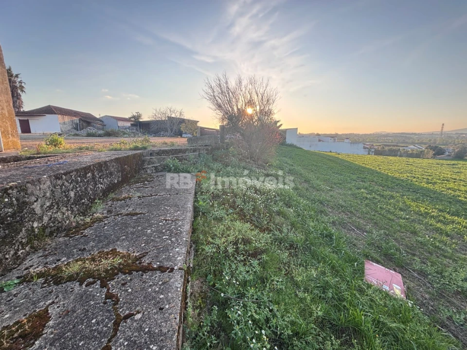 Quinta T3 para Venda em Riachos Foto 19