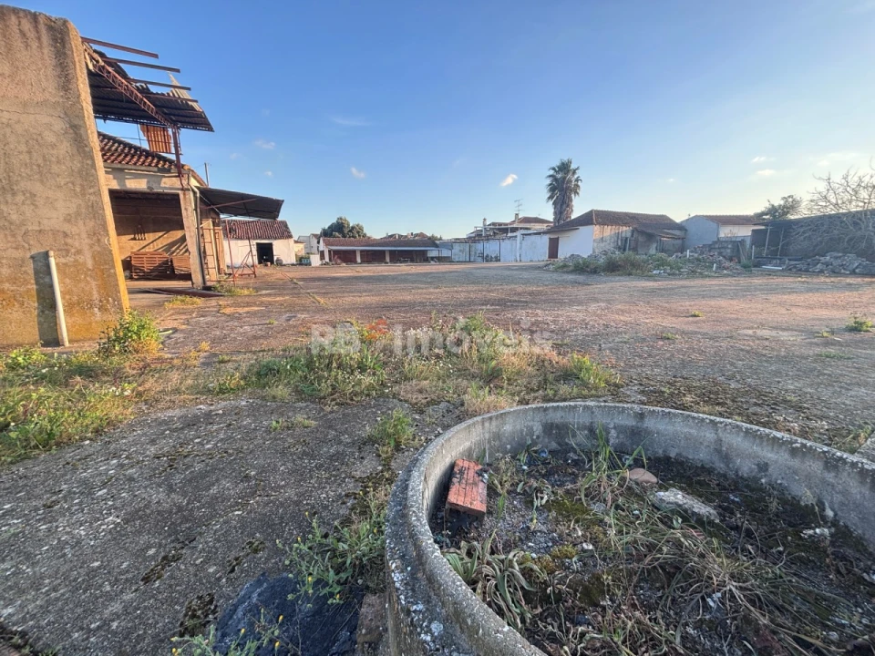 Quinta T3 para Venda em Riachos Foto 20