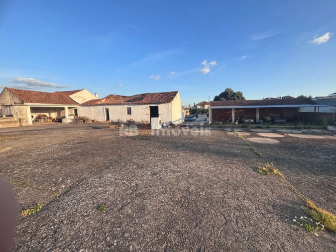 Quinta T3 para Venda em Riachos Foto 12