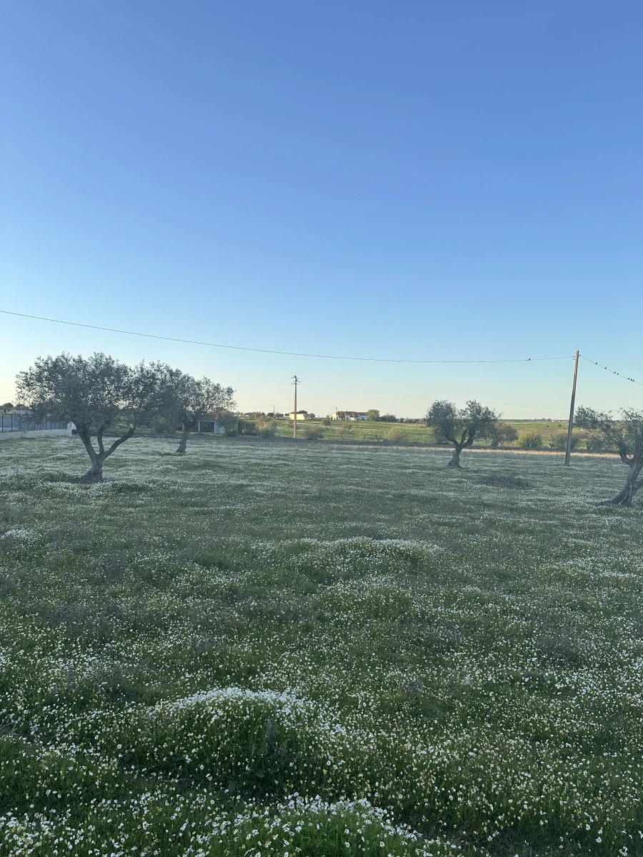 Moradia T2 para Venda em Vimieiro Foto 19