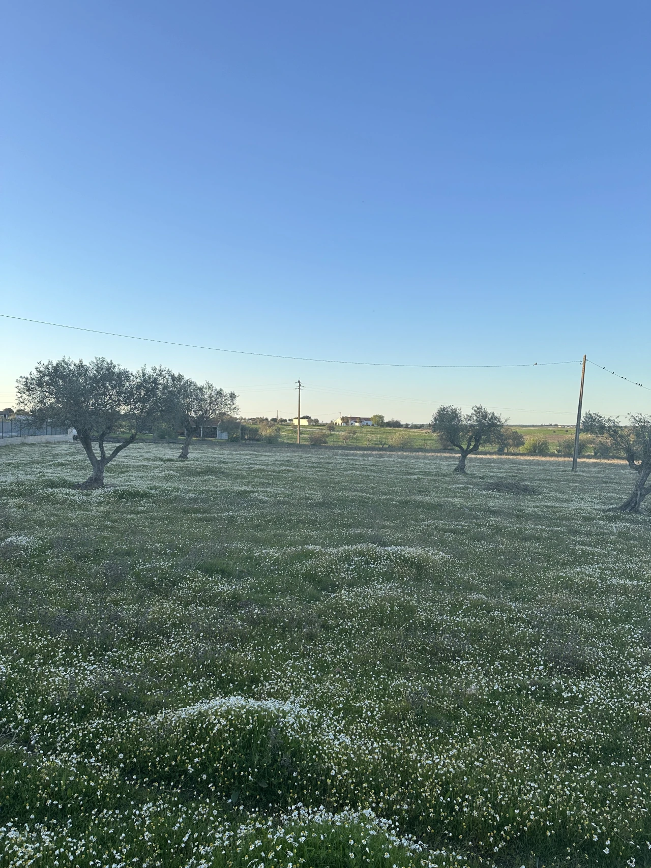 Moradia T2 para Venda em Vimieiro Foto 19