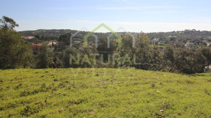 Terreno Agricola ou Rústico para Venda em São Brás de Alportel