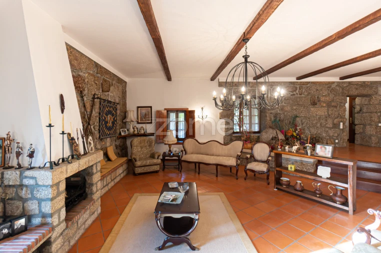 Quinta T5 para Venda em Cristelos, Boim e Ordem Foto 38