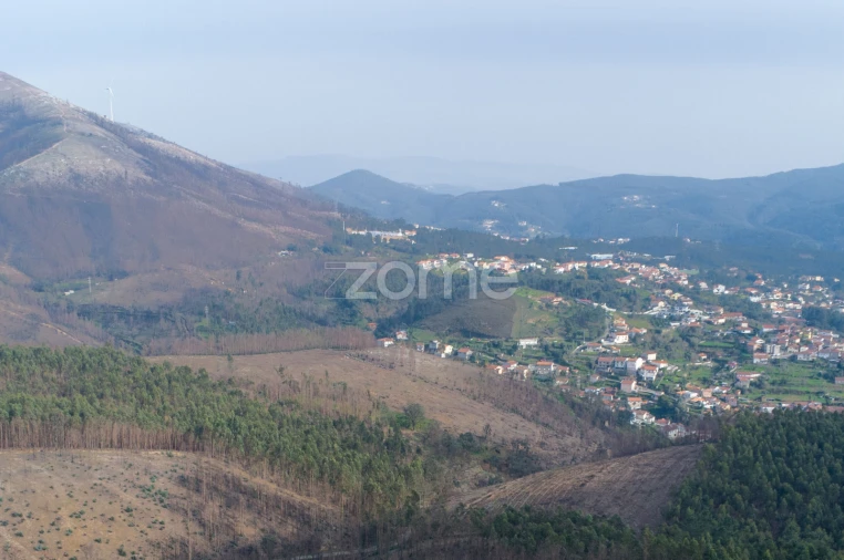 Terreno para Venda em Rio Mau Foto 5