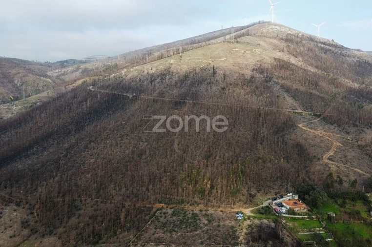 Terreno para Venda em Rio Mau Foto 6