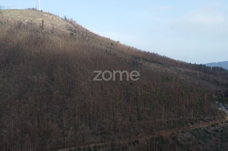 Terreno para Venda em Rio Mau Foto 4
