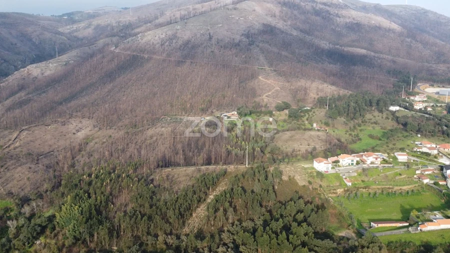Terreno para Venda em Rio Mau