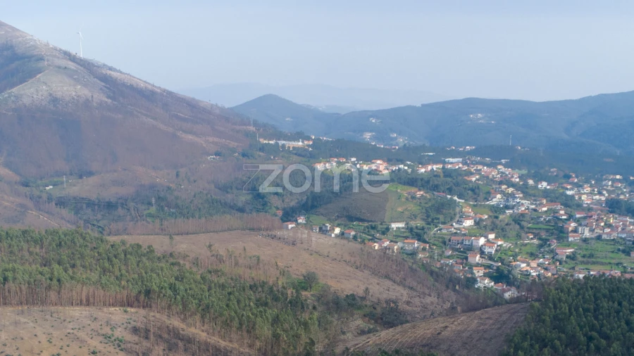 Terreno para Venda em Rio Mau