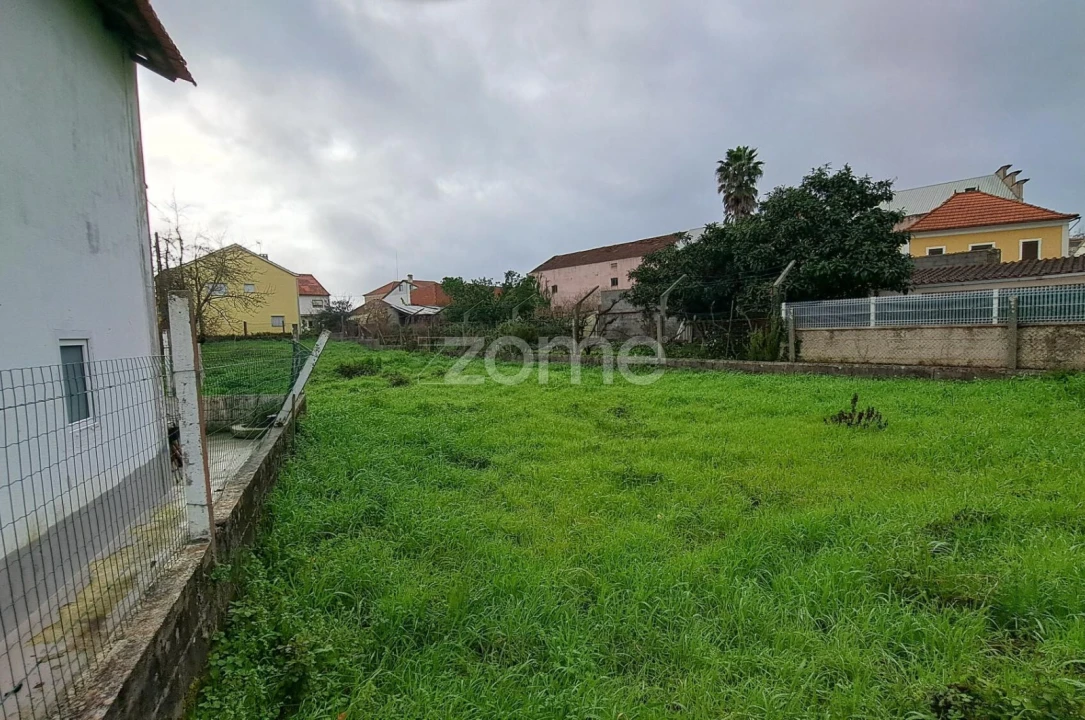 Terreno para Venda em Santiago e São Simão de Litém e Albergaria dos Doze Foto 16