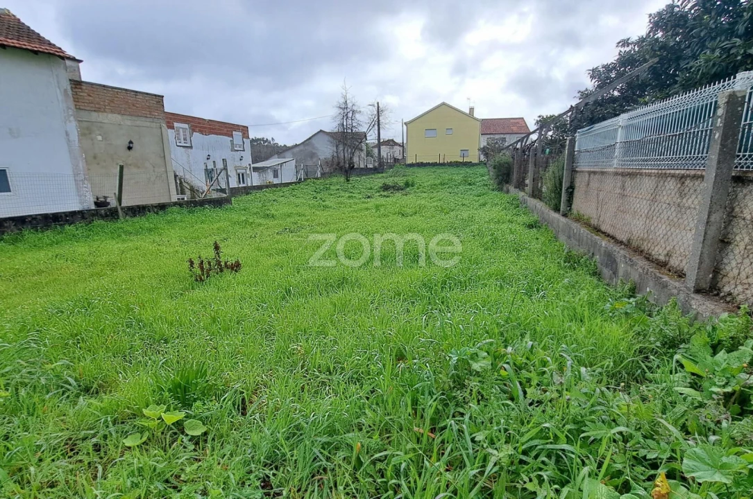 Terreno para Venda em Santiago e São Simão de Litém e Albergaria dos Doze Foto 5