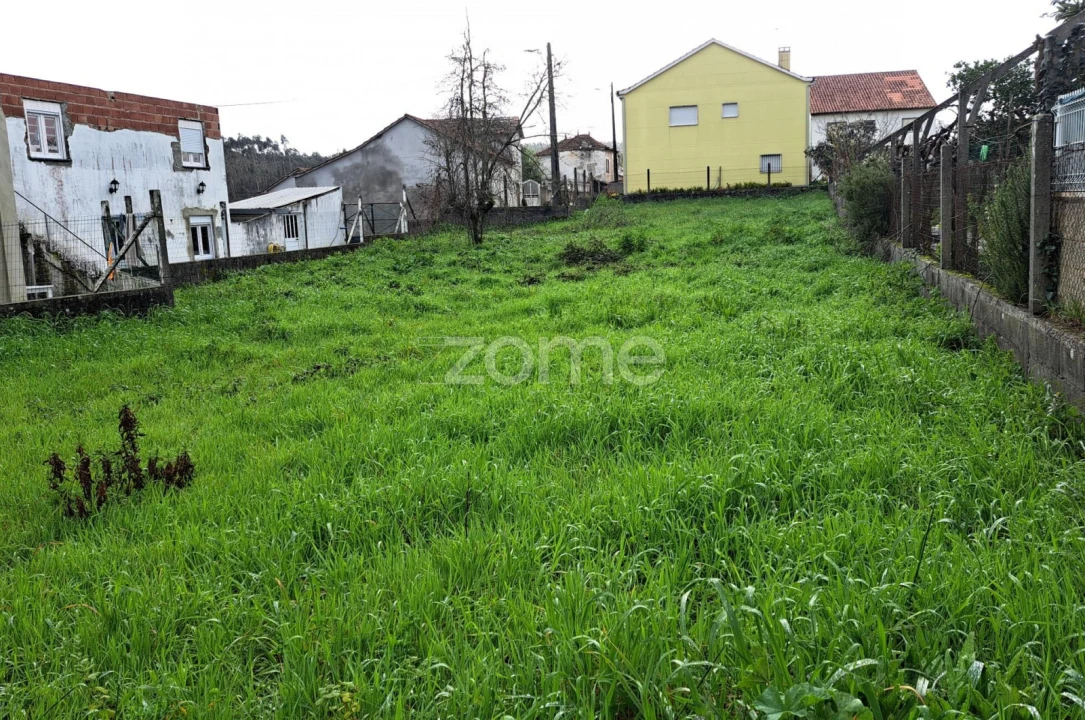 Terreno para Venda em Santiago e São Simão de Litém e Albergaria dos Doze Foto 4