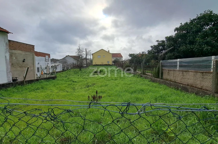 Terreno para Venda em Santiago e São Simão de Litém e Albergaria dos Doze Foto 19