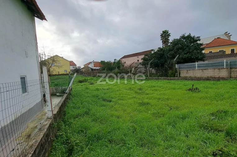 Terreno para Venda em Santiago e São Simão de Litém e Albergaria dos Doze Foto 17