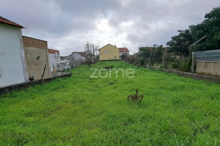 Terreno para Venda em Santiago e São Simão de Litém e Albergaria dos Doze Foto 15