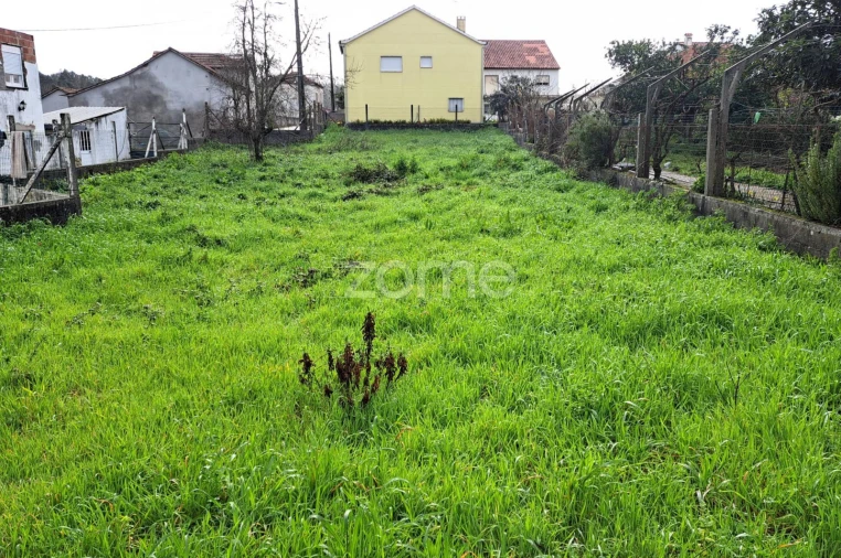 Terreno para Venda em Santiago e São Simão de Litém e Albergaria dos Doze Foto 1